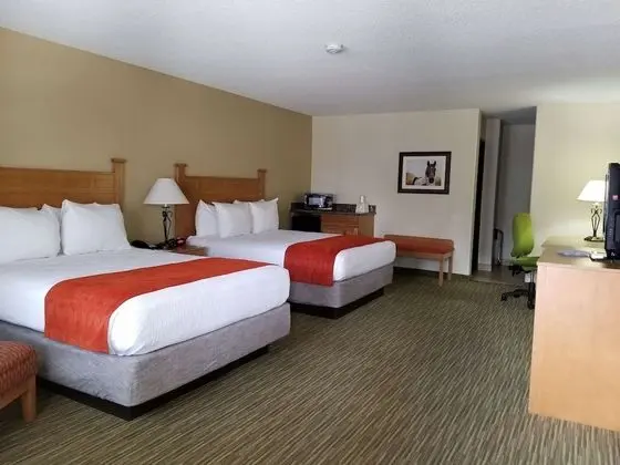 Standard Oda, 2 Büyük (Queen) Boy Yatak, Sigara İçilmez, Mikrodalga