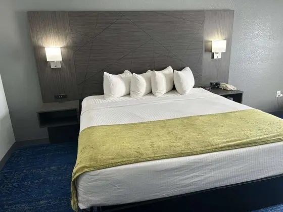 Standard Oda, 1 En Büyük (King) Boy Yatak, Sigara İçilmez, Buzdolabı ve Mikrodalga