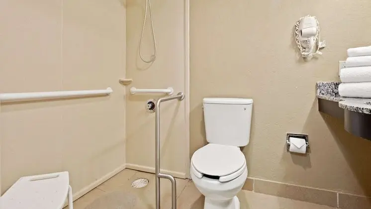Standard Oda, 2 Büyük (Queen) Boy Yatak, Engellilere Uygun, Buzdolabı ve Mikrodalga (Walk-in Shower)