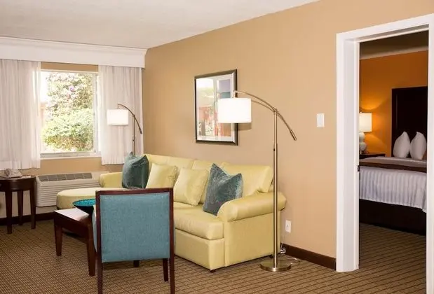 Süit, 1 En Büyük (King) Boy Yatak ve Çekyat, Sigara İçilmez (Separate Living Room;with Sofabed)