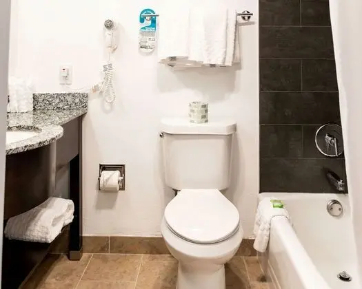 Süit, 2 Büyük (Queen) Boy Yatak, Sigara İçilmez, Buzdolabı ve Mikrodalga (Larger Room)