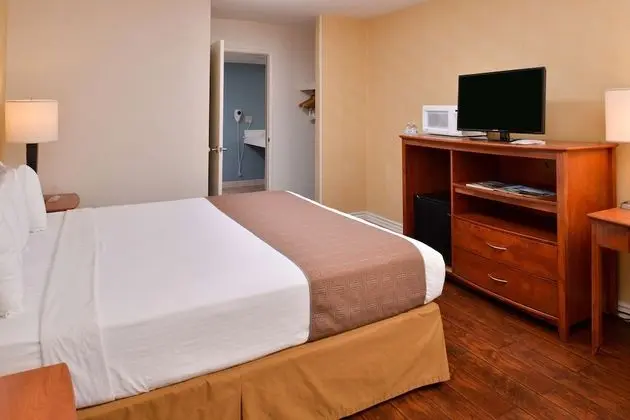 Standard Oda, 1 En Büyük (King) Boy Yatak, Engellilere Uygun, Sigara İçilmez (Walk-in Shower)