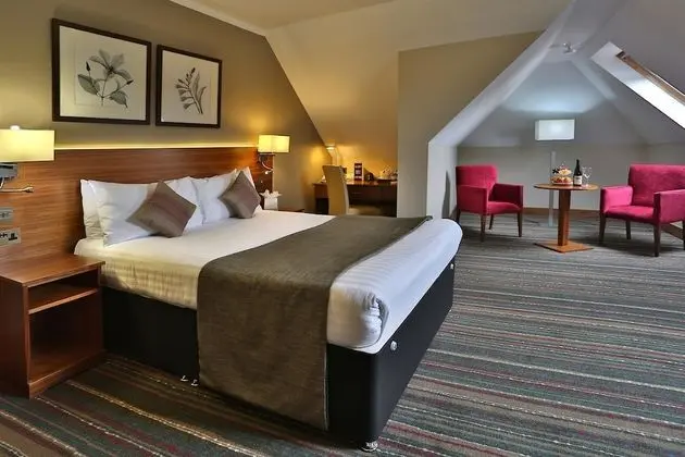 Executive Oda, 1 En Büyük (King) Boy Yatak, Sigara İçilmez