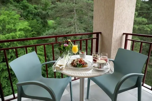 Deluxe Apart Daire, Birden Çok Yatak, Sigara İçilmez, Sıcak Su Küveti