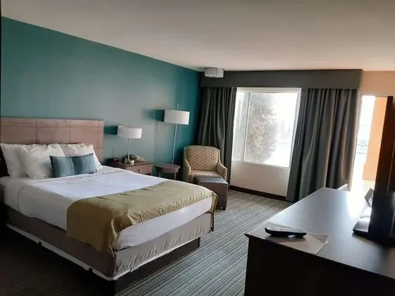 Standard Oda, 1 En Büyük (King) Boy Yatak, Sigara İçilmez, Buzdolabı ve Mikrodalga (Pet Friendly)