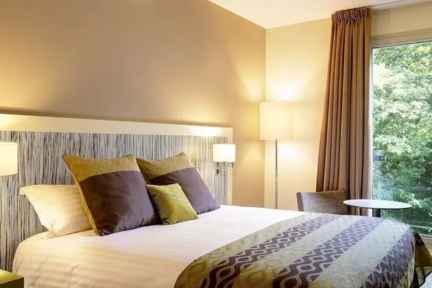 Standard Oda, 1 En Büyük (King) Boy Yatak, Sigara İçilmez (Forest)