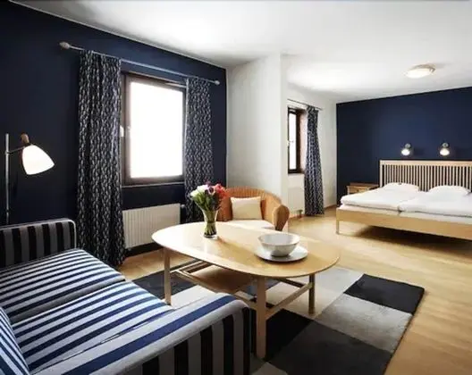 Standard Oda, 1 En Büyük (King) Boy Yatak ve Çekyat, Sigara İçilmez, Küvet (with Sofabed)