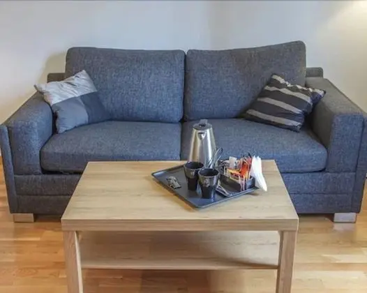 Standard Oda, 1 En Büyük (King) Boy Yatak ve Çekyat, Sigara İçilmez, Küvet (with Sofabed)