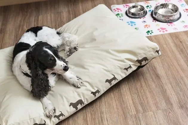 Comfort Oda, 1 En Büyük (King) Boy Yatak, Sigara İçilmez