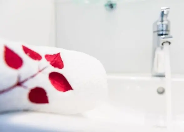 Premium Oda, 1 Büyük (Queen) Boy Yatak, Park Manzaralı