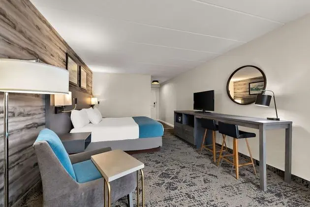 Standard Oda, 1 En Büyük (King) Boy Yatak, Sigara İçilmez, Balkon (Walk-in Shower)