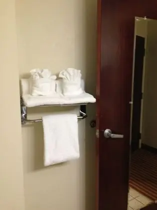 Standard Oda, Birden Çok Yatak, Engellilere Uygun, Sigara İçilmez (Bathtub)