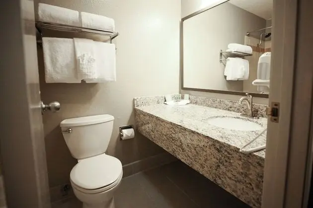 Standard Oda, 1 En Büyük (King) Boy Yatak, Engellilere Uygun, Sigara İçilmez (Walk-in Shower)