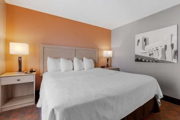 Standard Oda, 1 En Büyük (King) Boy Yatak, Engellilere Uygun, Sigara İçilmez (Walk-in Shower)
