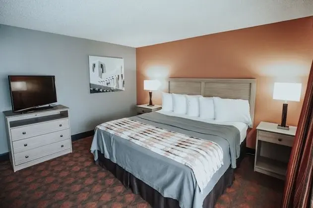 Standard Oda, 1 En Büyük (King) Boy Yatak, Sigara İçilebilir, Buzdolabı ve Mikrodalga