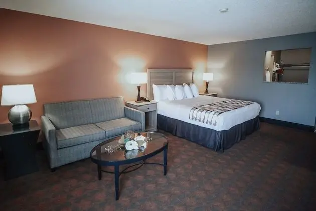 Standard Oda, 1 En Büyük (King) Boy Yatak, Sigara İçilebilir, Buzdolabı ve Mikrodalga