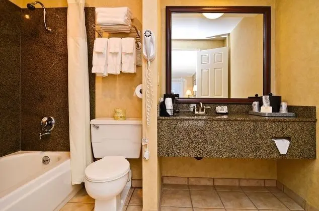 Pet Friendly, 1 King Bed, Balcony