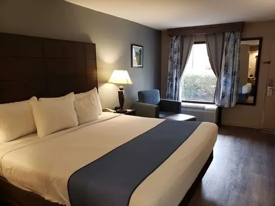 Standard Oda, 1 En Büyük (King) Boy Yatak, Sigara İçilmez, Buzdolabı ve Mikrodalga (Pet Friendly)