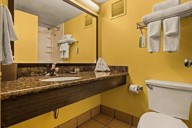Standard Oda, 2 Çift Kişilik Yatak, Sigara İçilmez, Buzdolabı ve Mikrodalga (High Floor Harbor View)