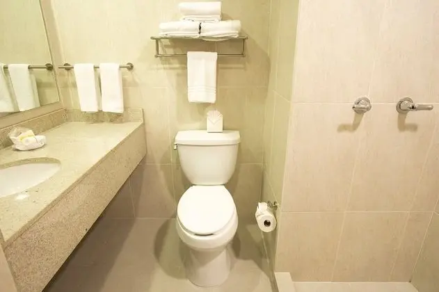 Superior Oda, 1 En Büyük (King) Boy Yatak, Sigara İçilmez