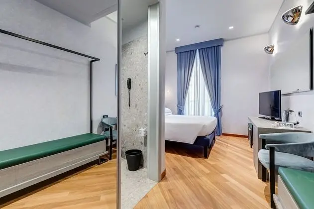 Standard Oda, 1 Çift Kişilik Yatak (Bed is French Bed)