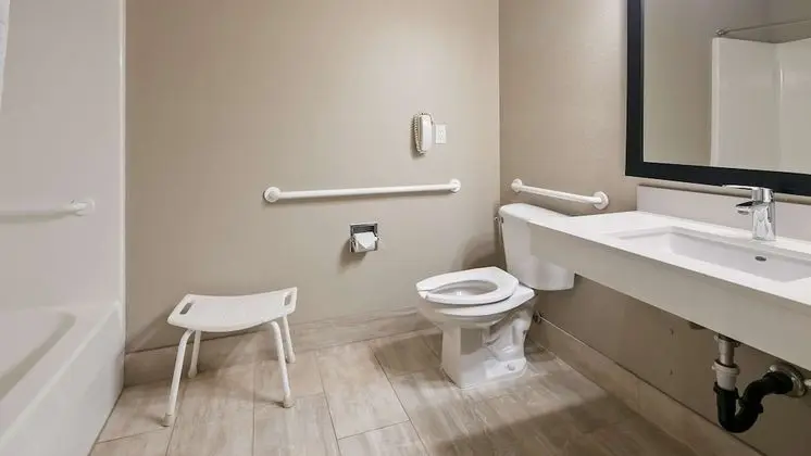 Standard Oda, 1 En Büyük (King) Boy Yatak, Engellilere Uygun, Küvet (with Sofabed)