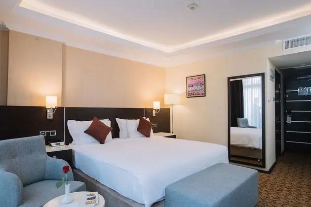 Business Oda, 1 En Büyük (King) Boy Yatak, Sigara İçilmez, Şehir Manzaralı