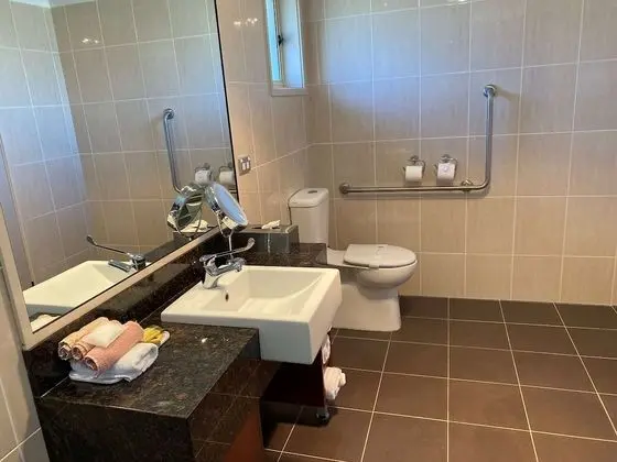 Deluxe Oda, Birden Çok Yatak, Sigara İçilmez, Mikrodalga