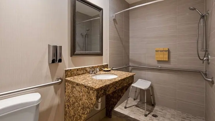 Süit, 1 En Büyük (King) Boy Yatak, Engellilere Uygun, Sigara İçilmez (Walk-in Shower;with Sofabed)