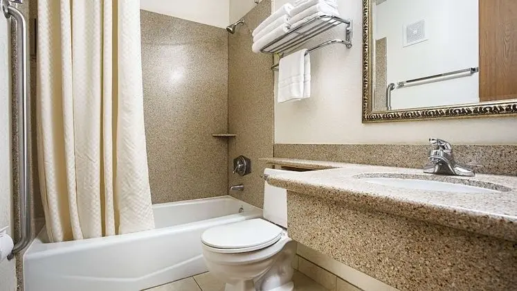Standard Oda, 1 En Büyük (King) Boy Yatak, Sigara İçilmez, Buzdolabı ve Mikrodalga (Pet Friendly)