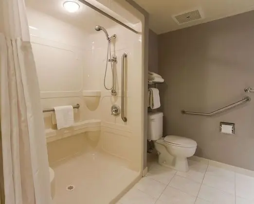 Standard Oda, 1 En Büyük (King) Boy Yatak, Engellilere Uygun, Sigara İçilmez (Walk-in Shower)