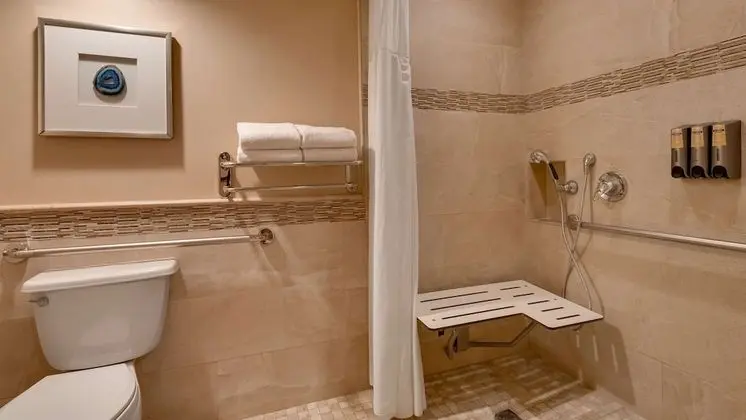 Standard Oda, 2 Büyük (Queen) Boy Yatak, Engellilere Uygun, Manzaralı (Roll-In Shower)