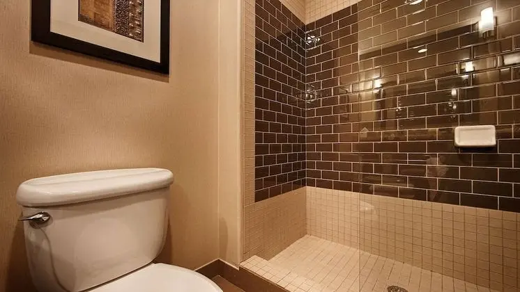 Standard Oda, 1 En Büyük (King) Boy Yatak, Sigara İçilmez, Buzdolabı ve Mikrodalga (Walk-in Shower)