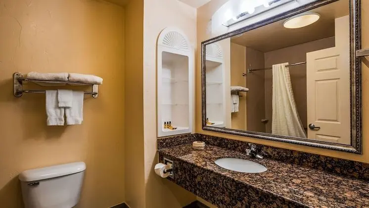 Standard Oda, 1 En Büyük (King) Boy Yatak, Sigara İçilmez, Buzdolabı ve Mikrodalga