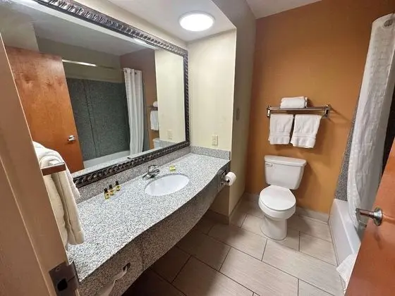 Standard Oda, 2 Büyük (Queen) Boy Yatak, Sigara İçilmez, Buzdolabı ve Mikrodalga