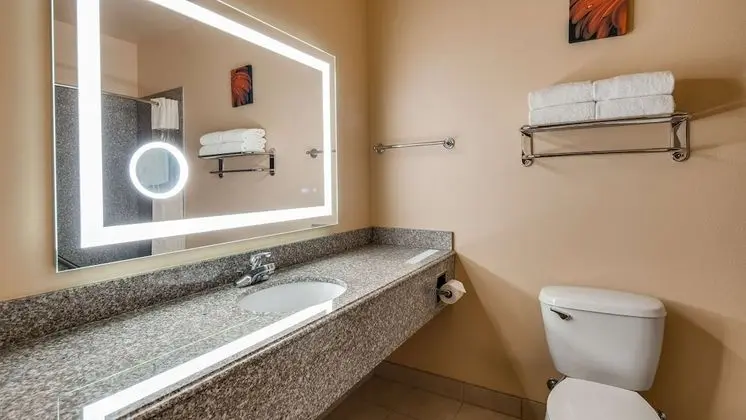 Standard Oda, 1 En Büyük (King) Boy Yatak, Sigara İçilmez, Buzdolabı ve Mikrodalga