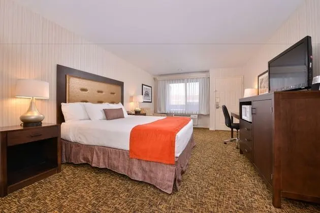 Standard Oda, 1 En Büyük (King) Boy Yatak, Sigara İçilmez, Mikrodalga