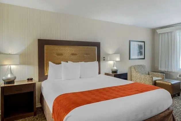 Standard Oda, 1 En Büyük (King) Boy Yatak, Sigara İçilmez, Mikrodalga