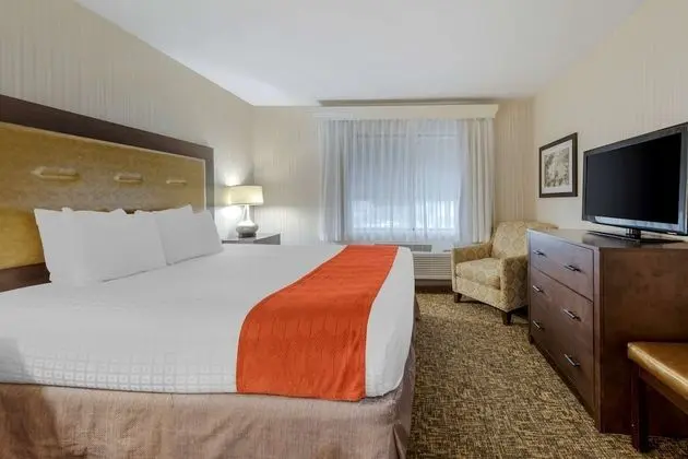 Standard Oda, 1 En Büyük (King) Boy Yatak, Sigara İçilmez, Mikrodalga