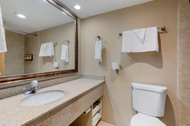 Standard Oda, 1 En Büyük (King) Boy Yatak, Sigara İçilmez, Mikrodalga