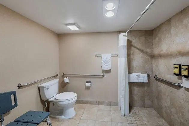 Standard Oda, 2 Büyük (Queen) Boy Yatak, Engellilere Uygun, Sigara İçilmez