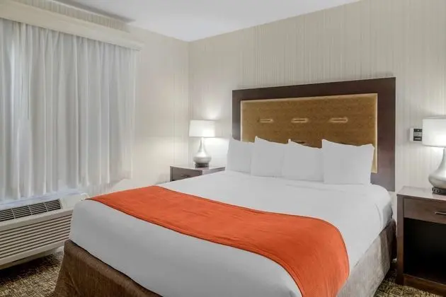 Süit, 1 En Büyük (King) Boy Yatak, Sigara İçilmez, Buzdolabı ve Mikrodalga (with Sofabed)