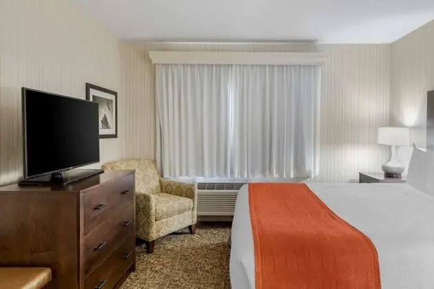 Süit, 1 En Büyük (King) Boy Yatak, Sigara İçilmez (Oversized Room;with Sofabed)