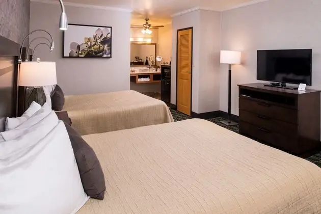 Standard Oda, 2 Büyük (Queen) Boy Yatak, Engellilere Uygun, Sigara İçilmez (Walk-in Shower)