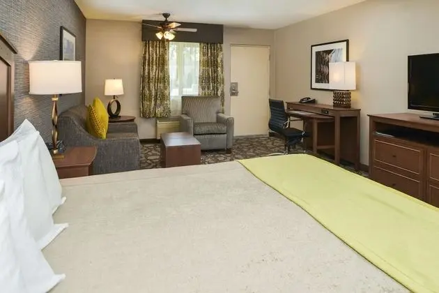Superior Oda, 1 En Büyük (King) Boy Yatak, Sigara İçilmez (Oversized Room;with Sofabed)