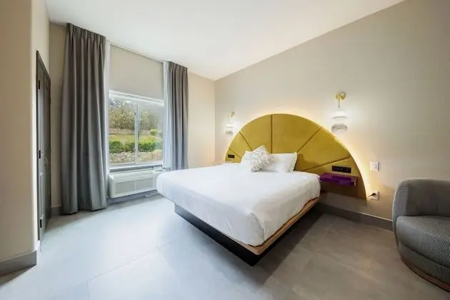 Luxury Stüdyo Süit, 1 En Büyük (King) Boy Yatak