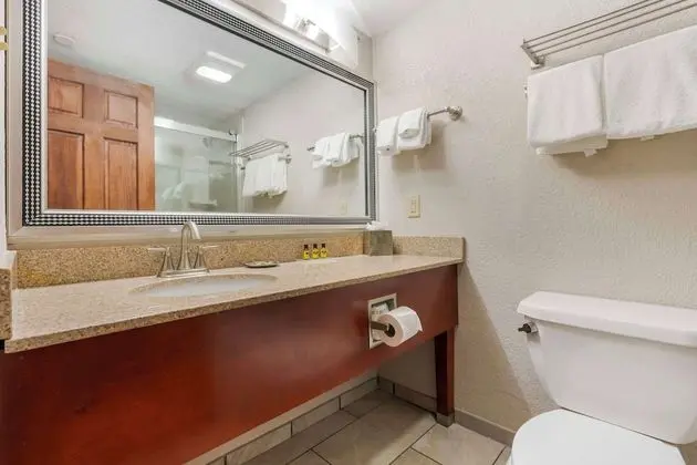 Standard Oda, 1 En Büyük (King) Boy Yatak, Buzdolabı ve Mikrodalga, Havuz Manzaralı