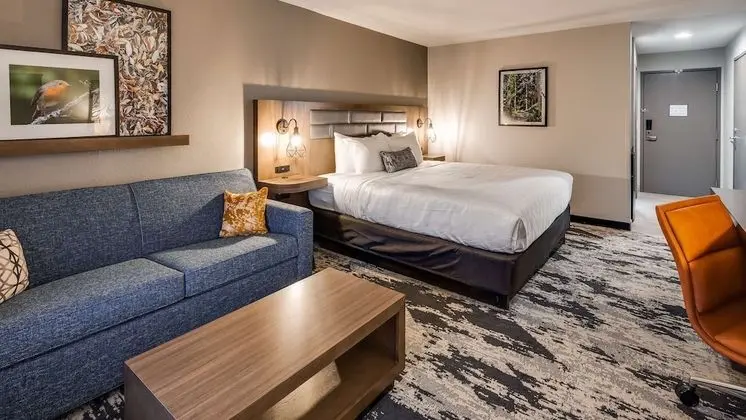 Standard Oda, 1 En Büyük (King) Boy Yatak ve Çekyat, Sigara İçilmez (with Sofabed)