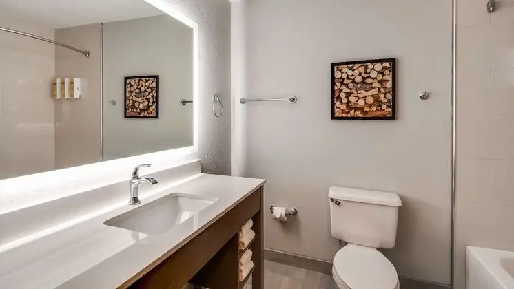 Standard Oda, 1 En Büyük (King) Boy Yatak ve Çekyat, Sigara İçilmez (with Sofabed)