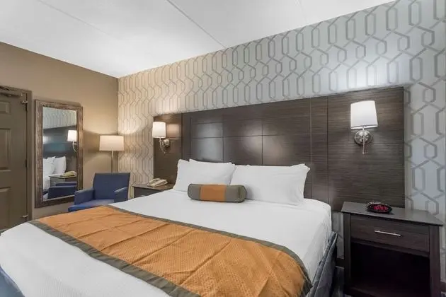 Standard Oda, 1 En Büyük (King) Boy Yatak, Engellilere Uygun (1st Floor;Pet Friendly)